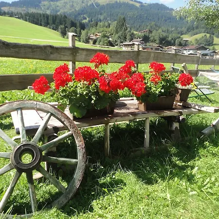 Мини-отель Widauer *