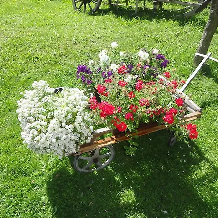 Widauer Элльмау