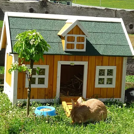 Мини-отель Widauer Элльмау