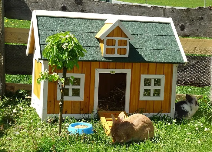 Gasthof Widauer Ellmau